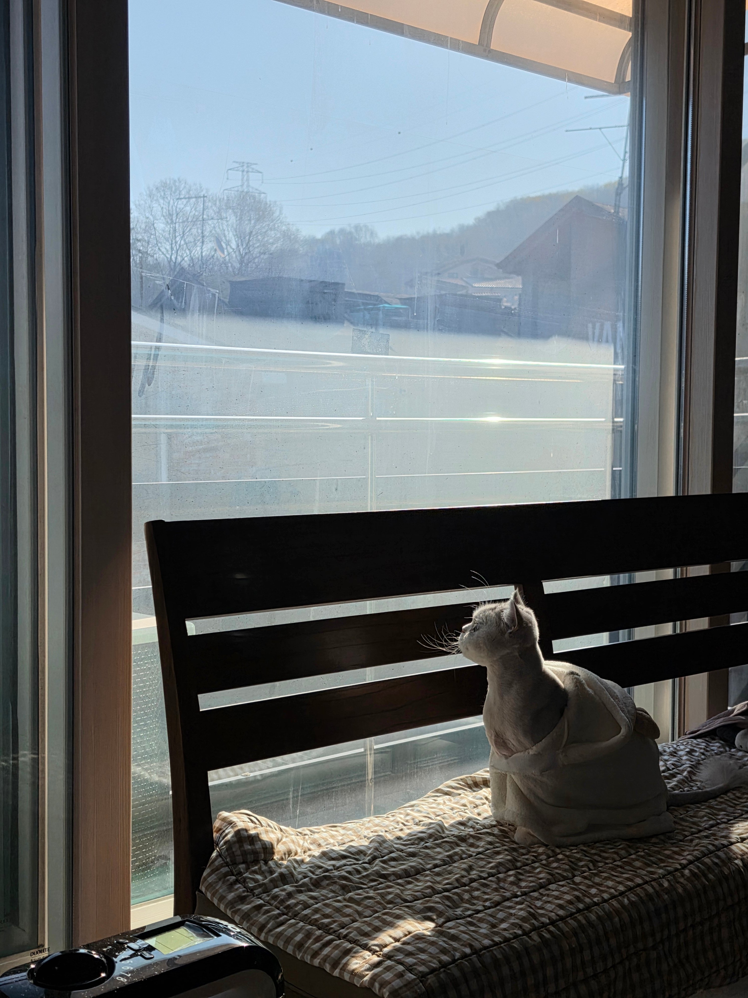 20260408_084340.jpg