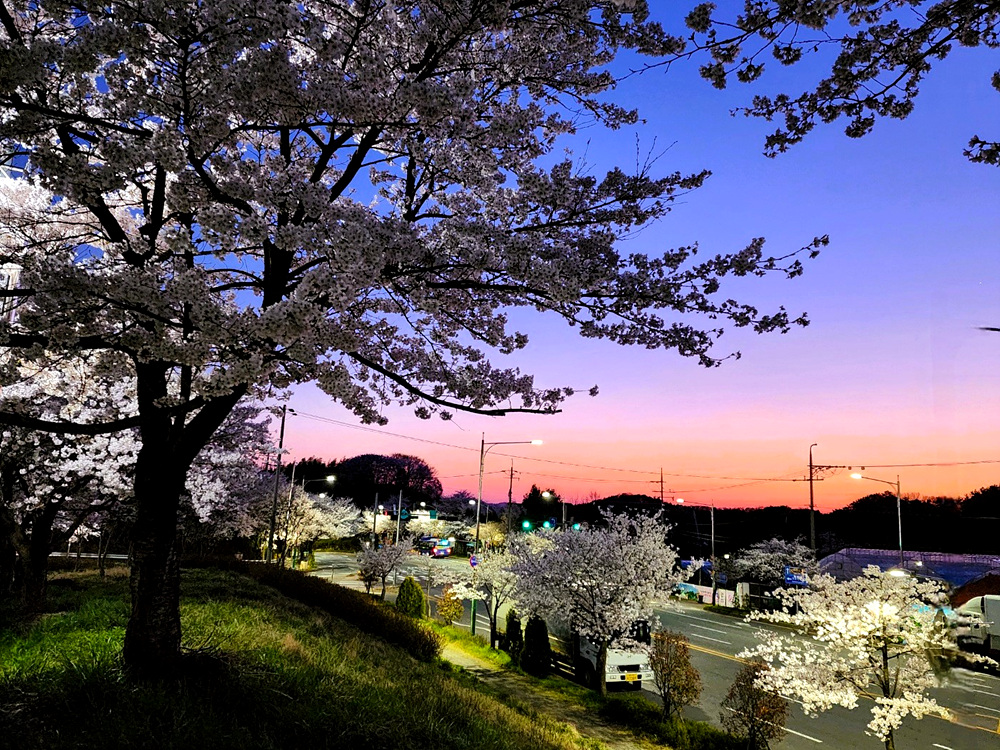 노을-1000.jpg