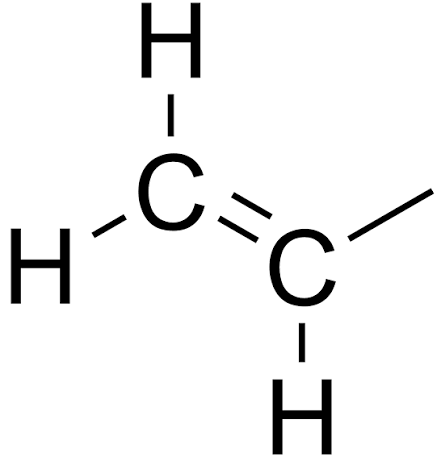 images (1).png
