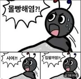 첨부 이미지