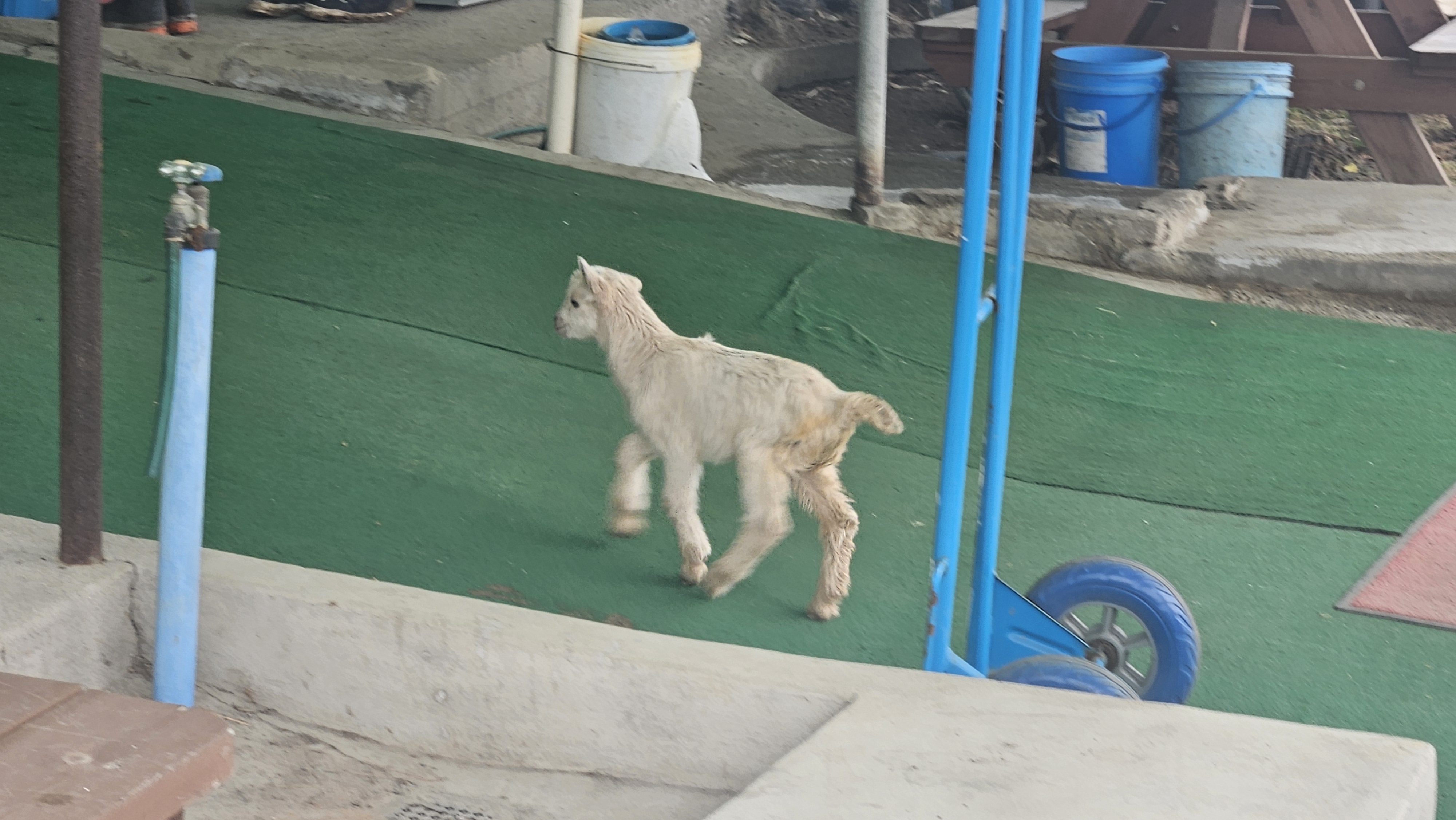 첨부 이미지