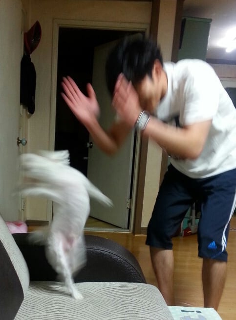 첨부 이미지