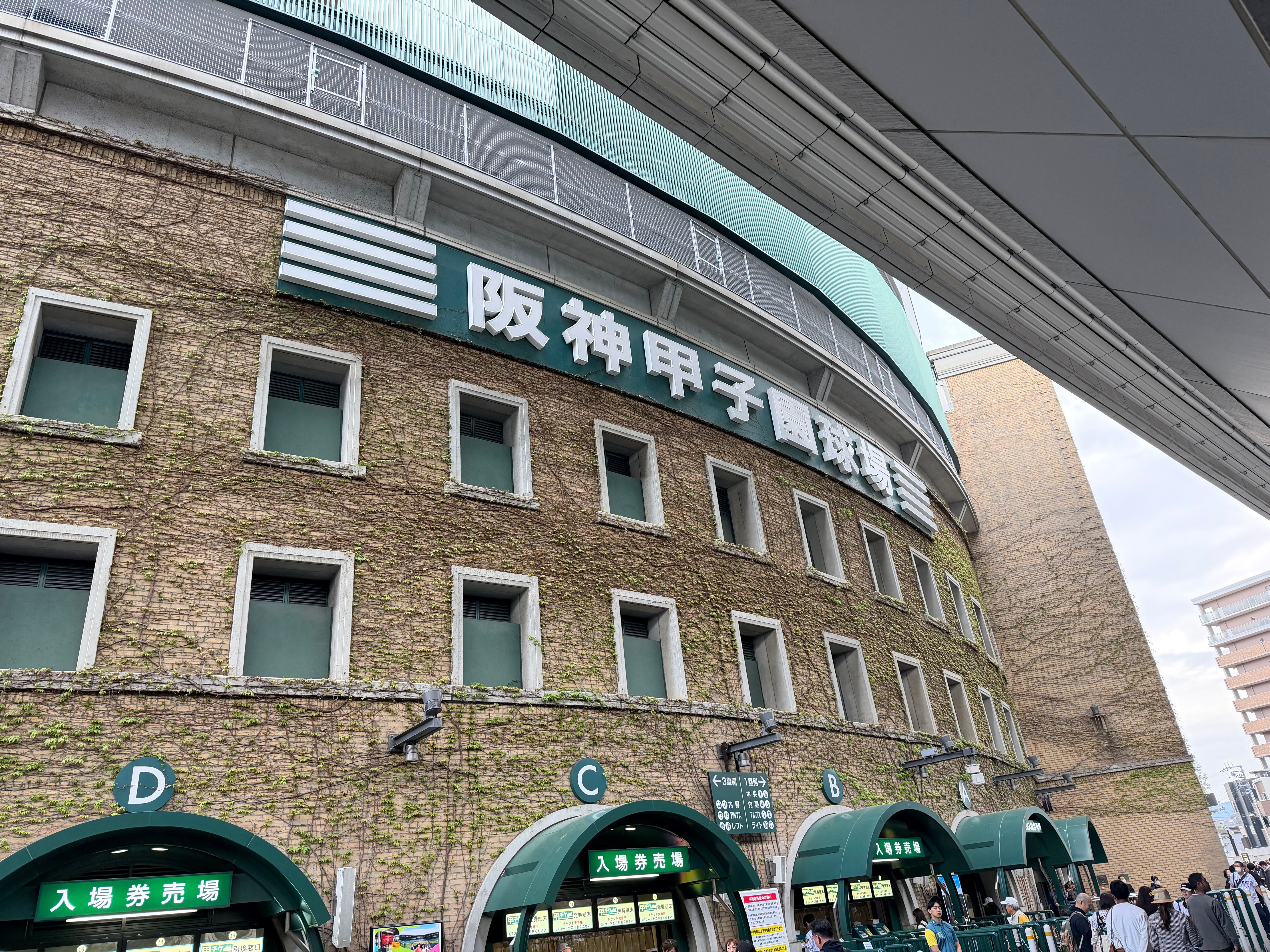 IMG_2918.jpeg