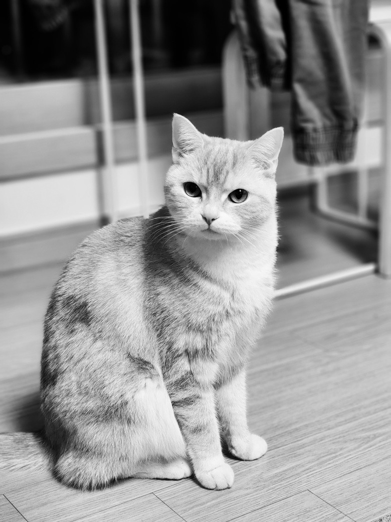 첨부 이미지