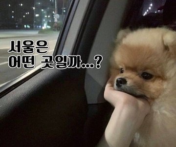 첨부 이미지