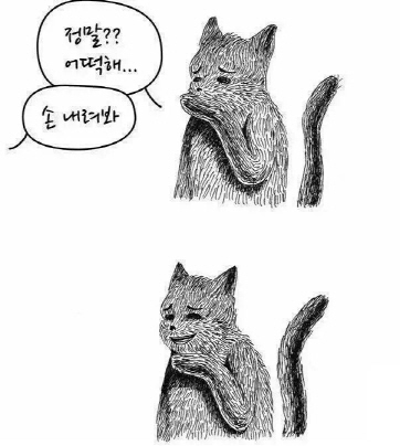 첨부 이미지