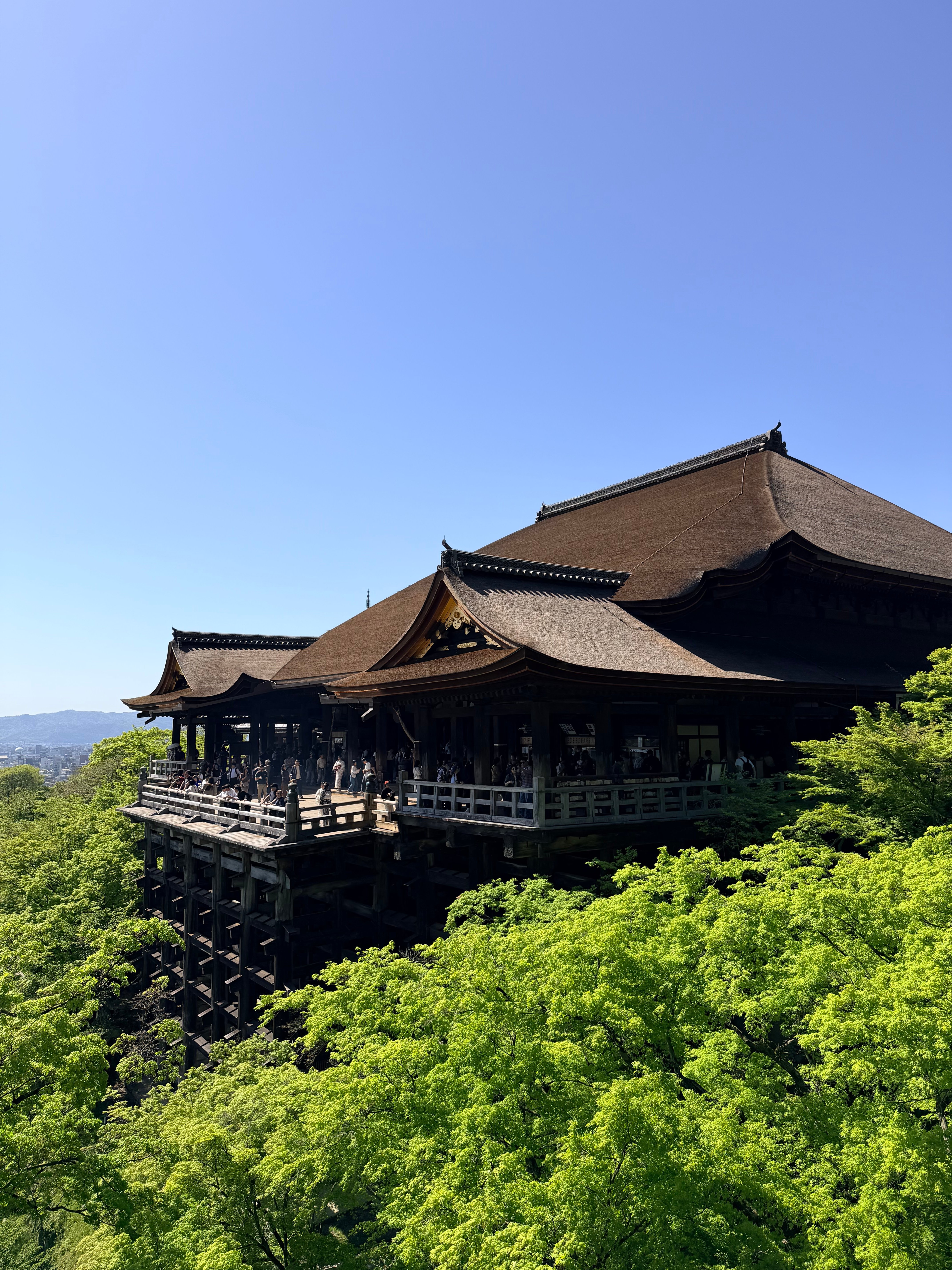 IMG_3107.jpeg