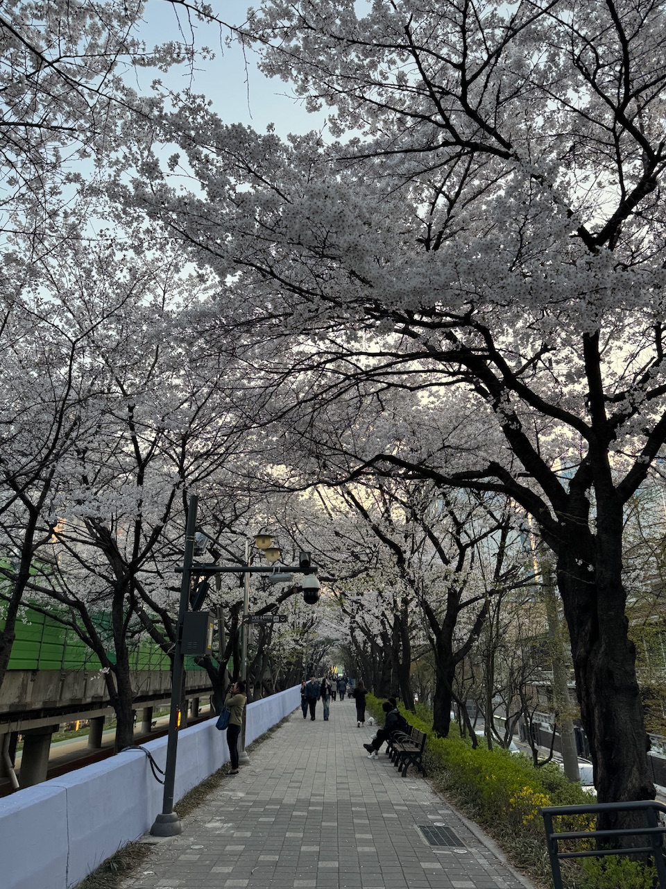 IMG_5186.jpeg
