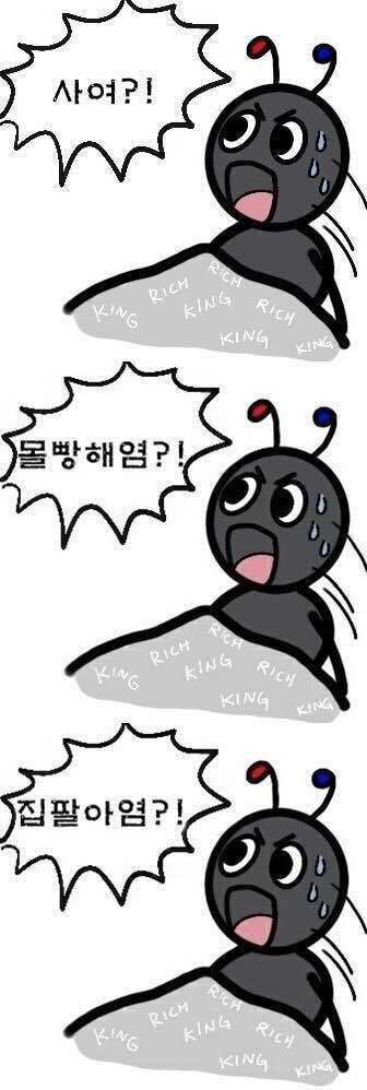 첨부 이미지