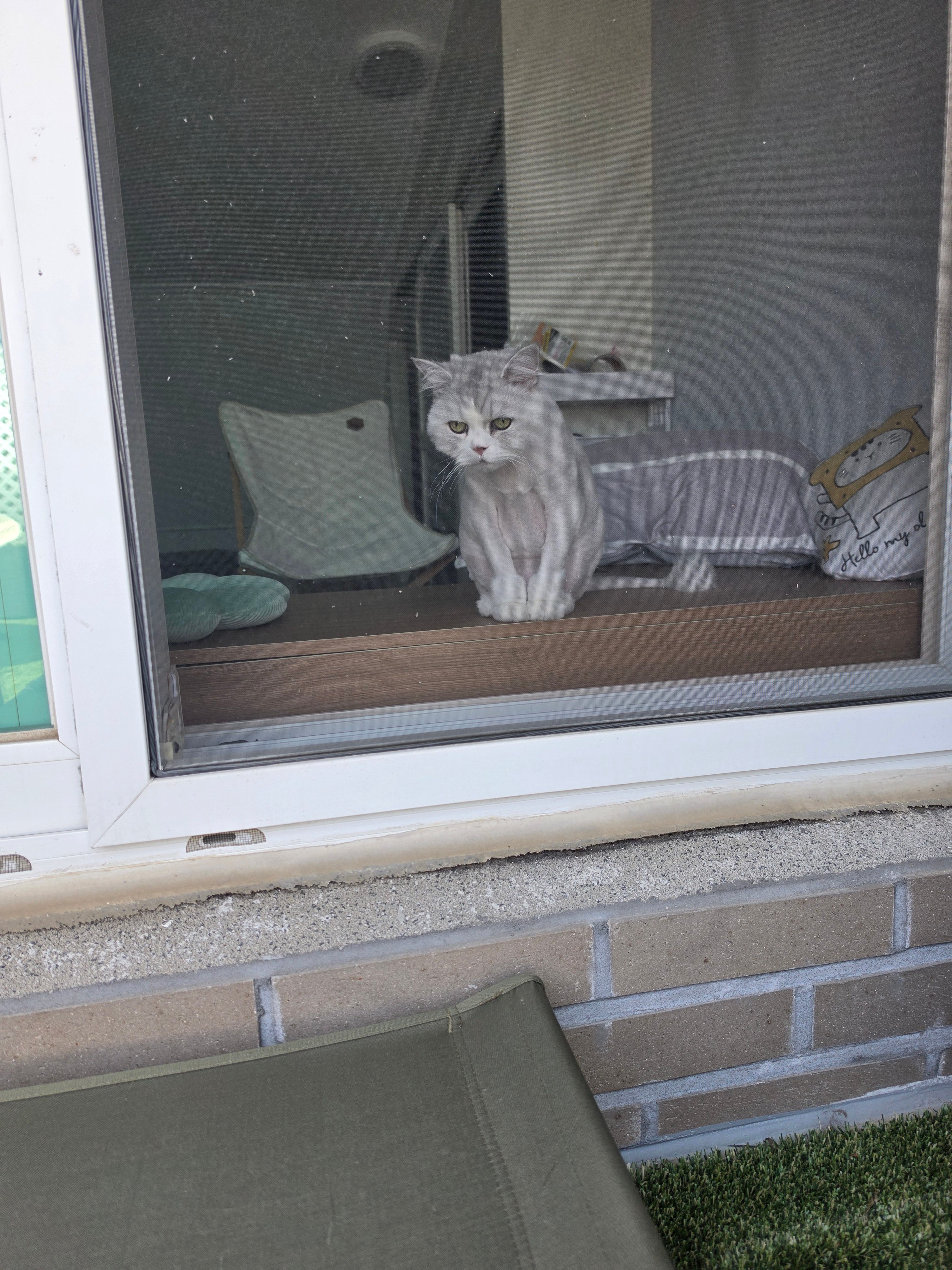 첨부 이미지