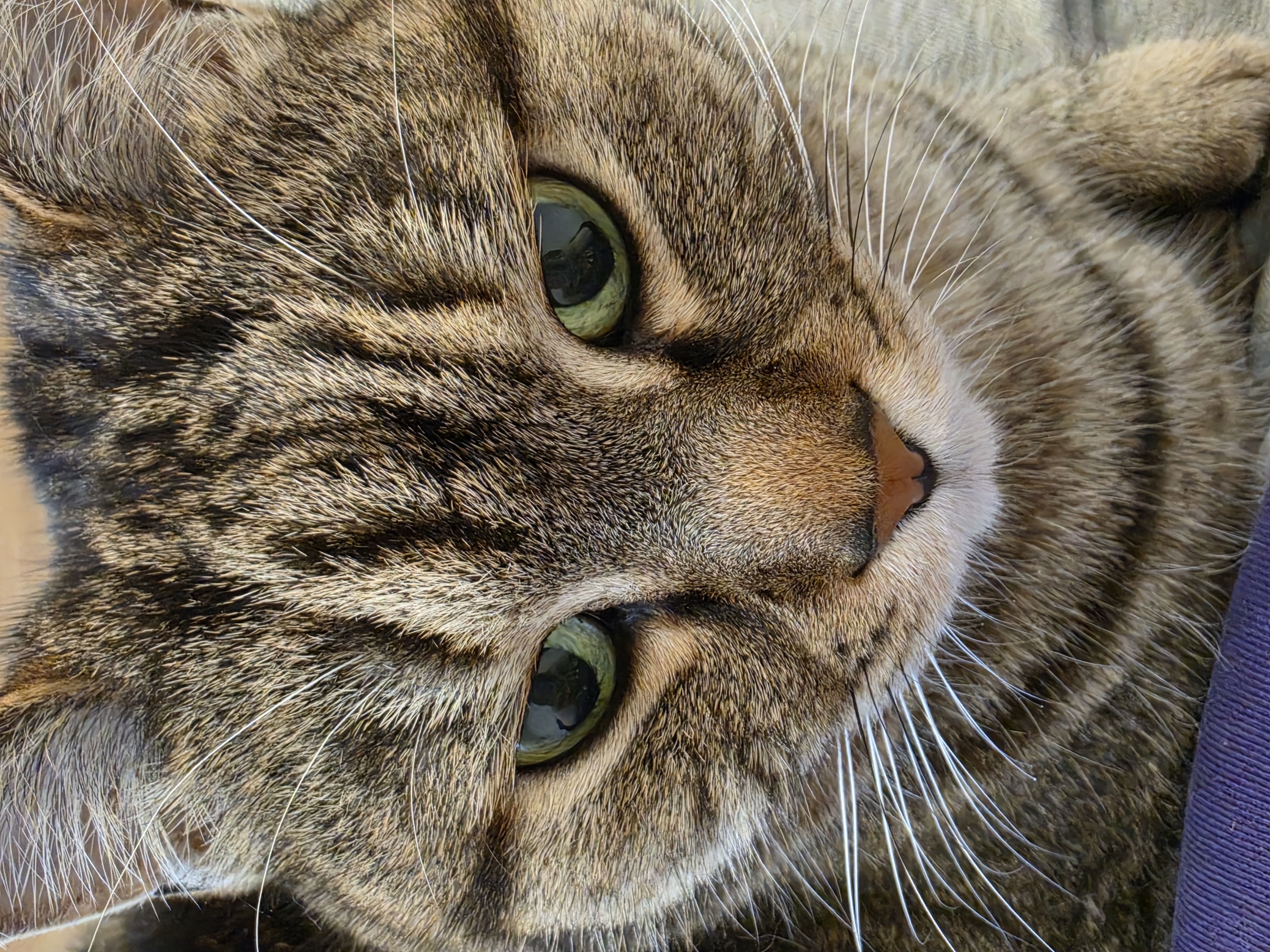 20260409_151752.jpg