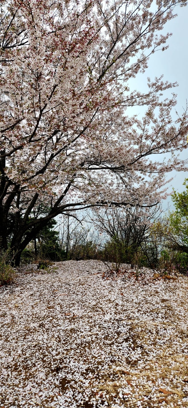 20260411_112059.jpg
