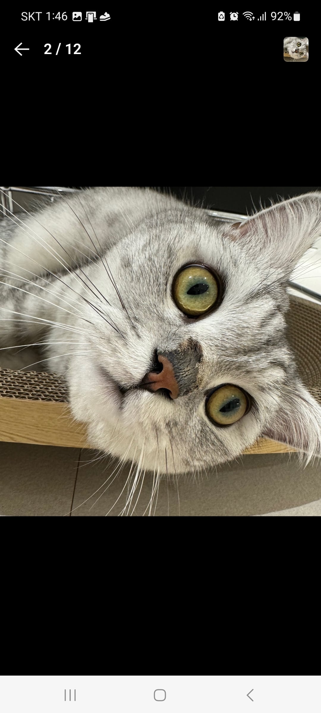 KakaoTalk_20260420_122439651_09.jpg