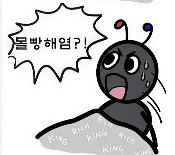 첨부 이미지