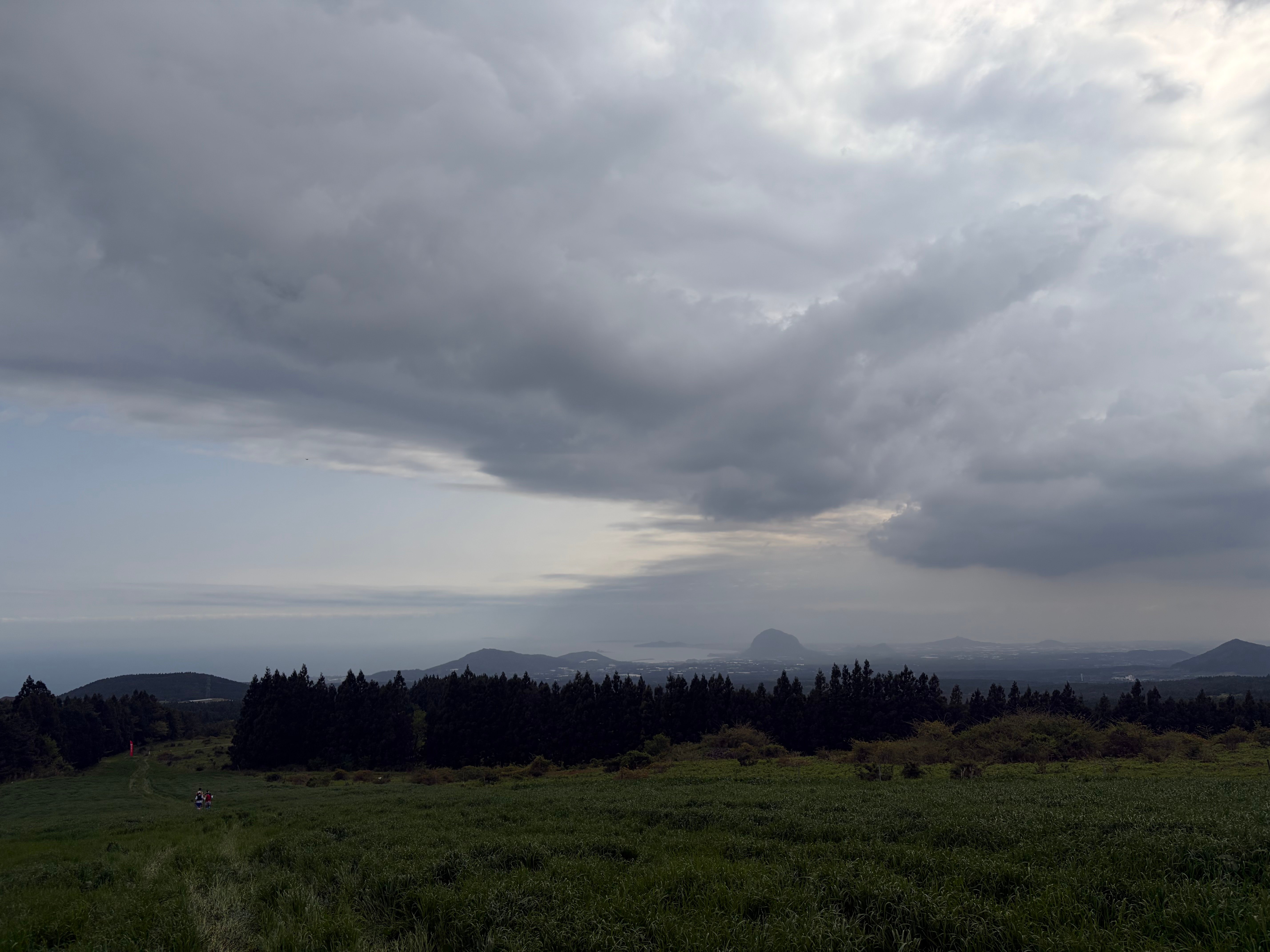 IMG_7742.jpeg