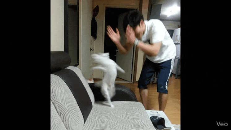 GIF_20260415_110549_512.gif