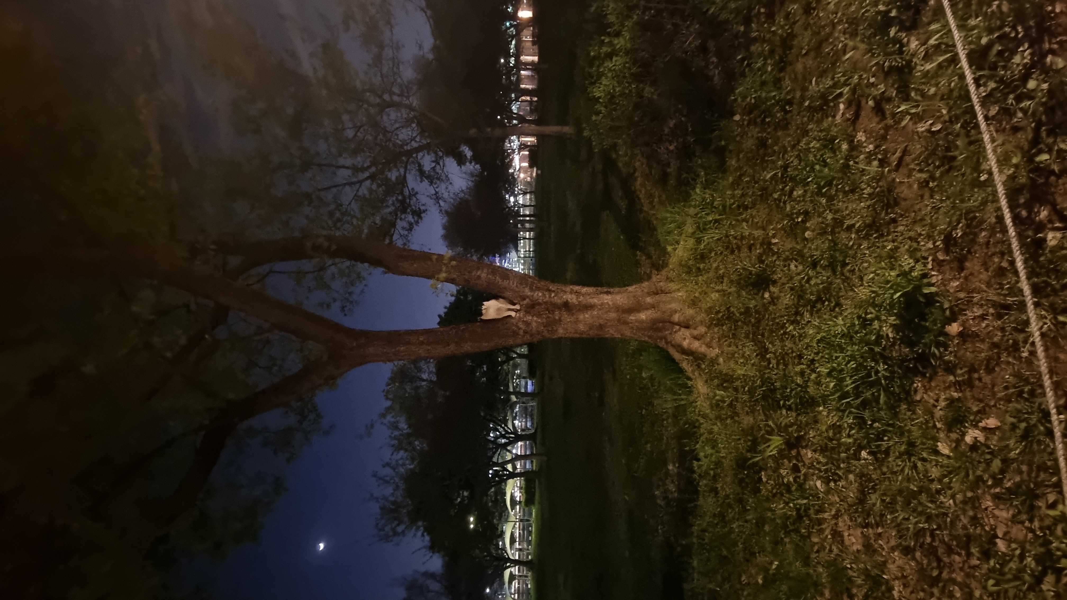 20260420_204214.jpg