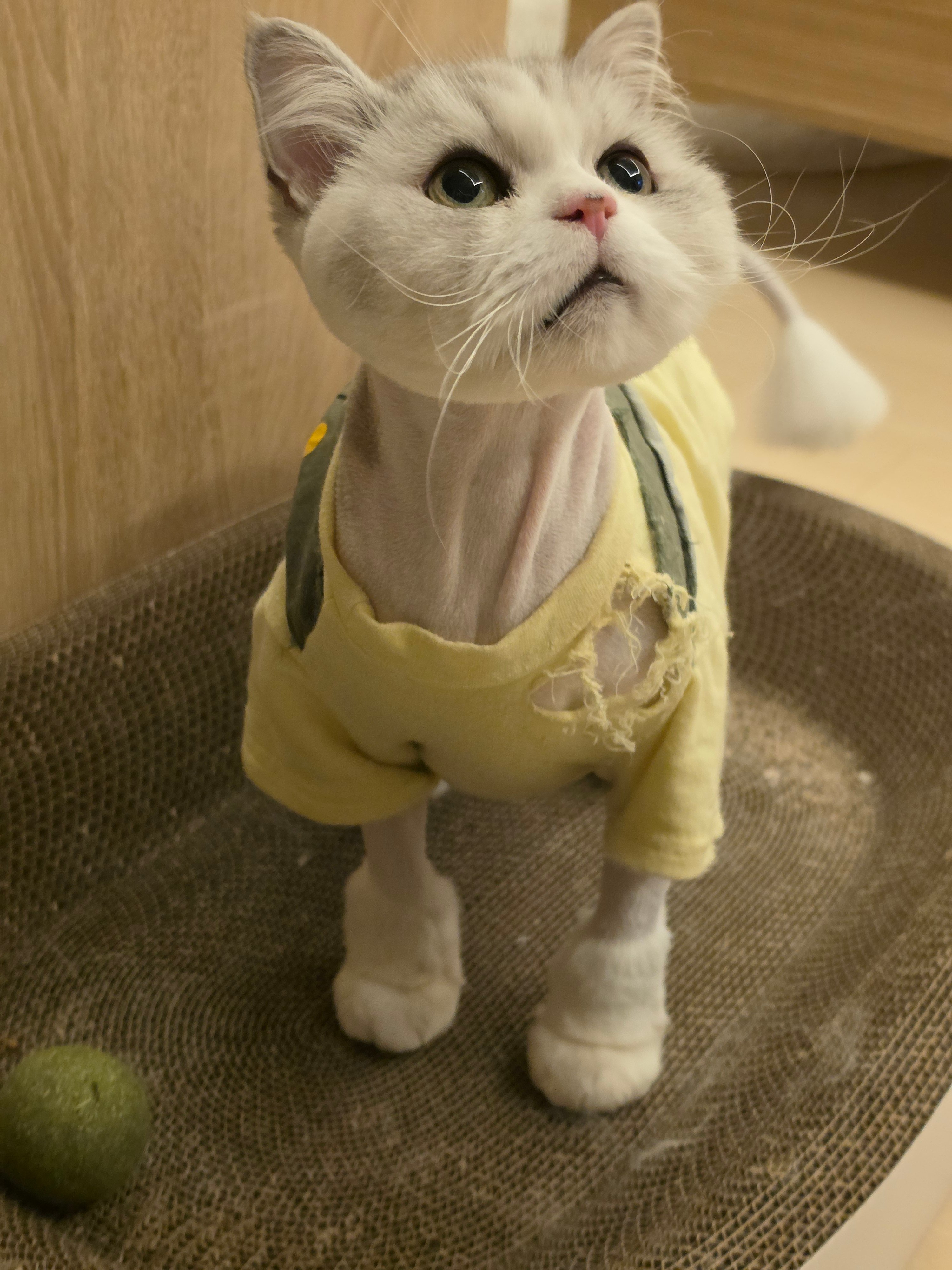 첨부 이미지