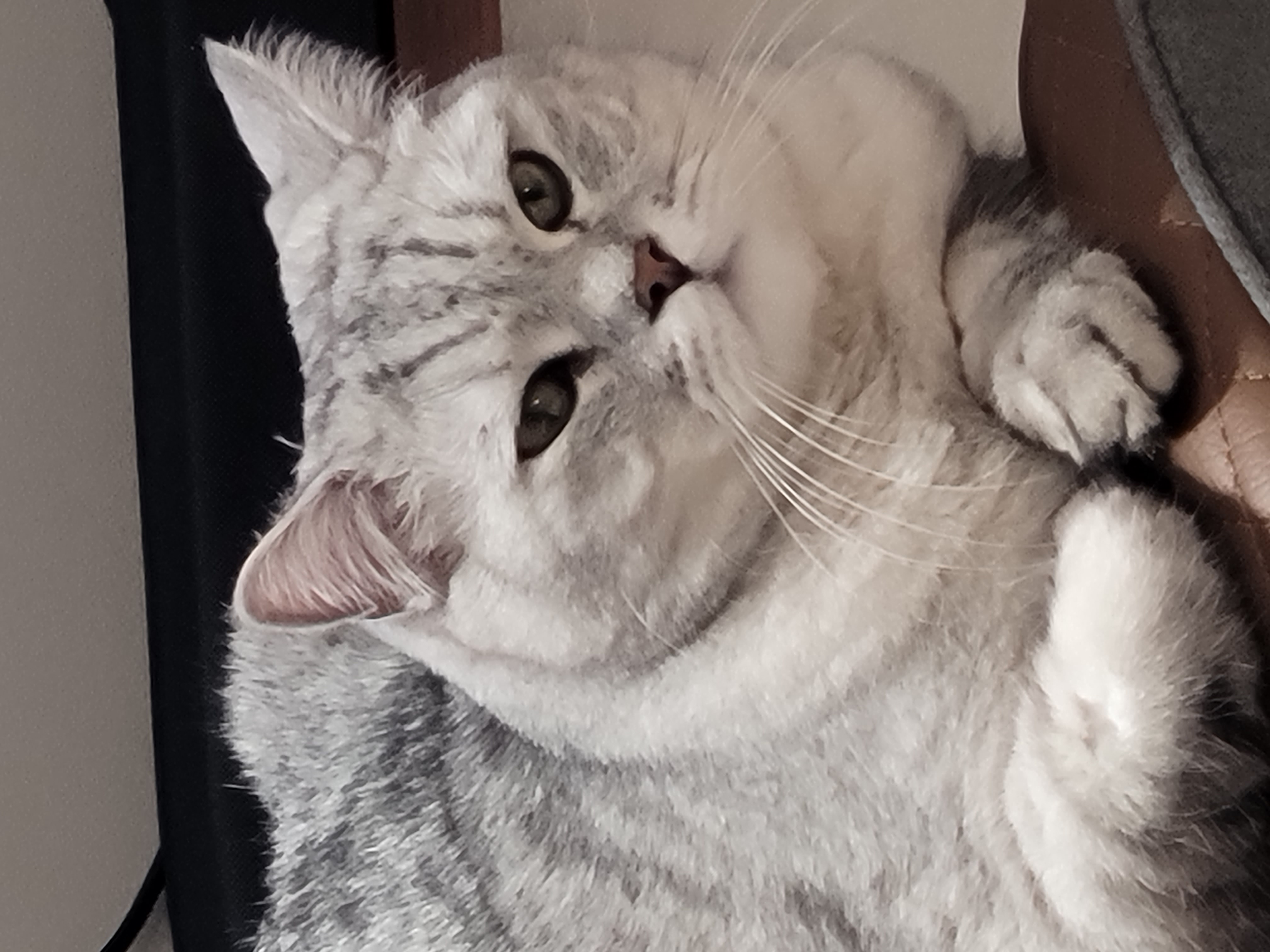 KakaoTalk_20260420_122439651_12.jpg