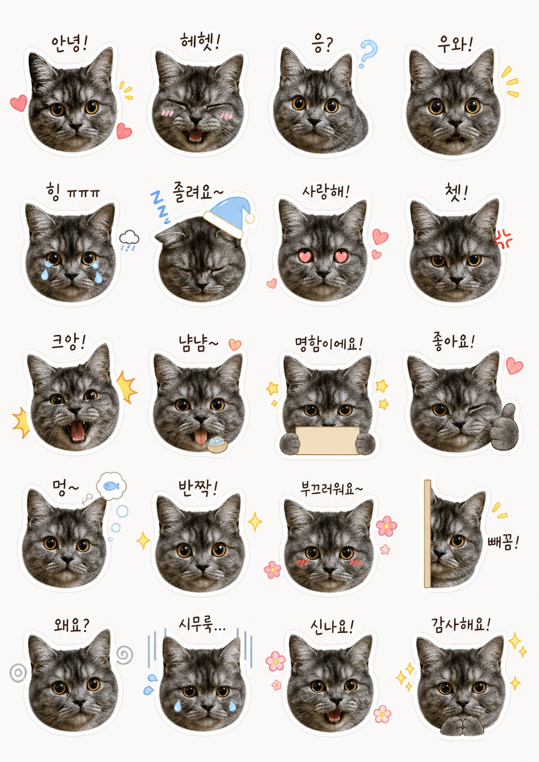 첨부 이미지