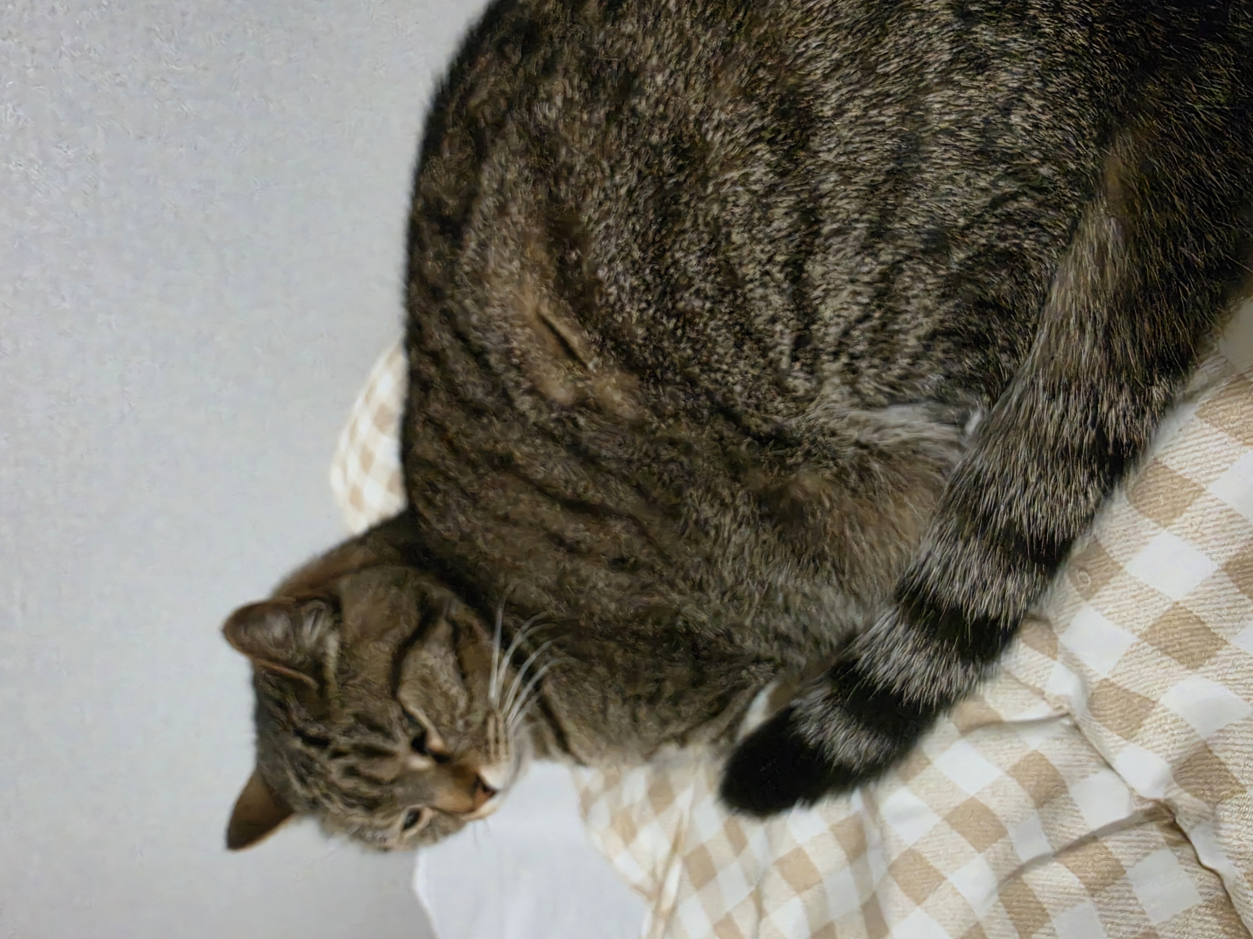 20260427_212309.jpg