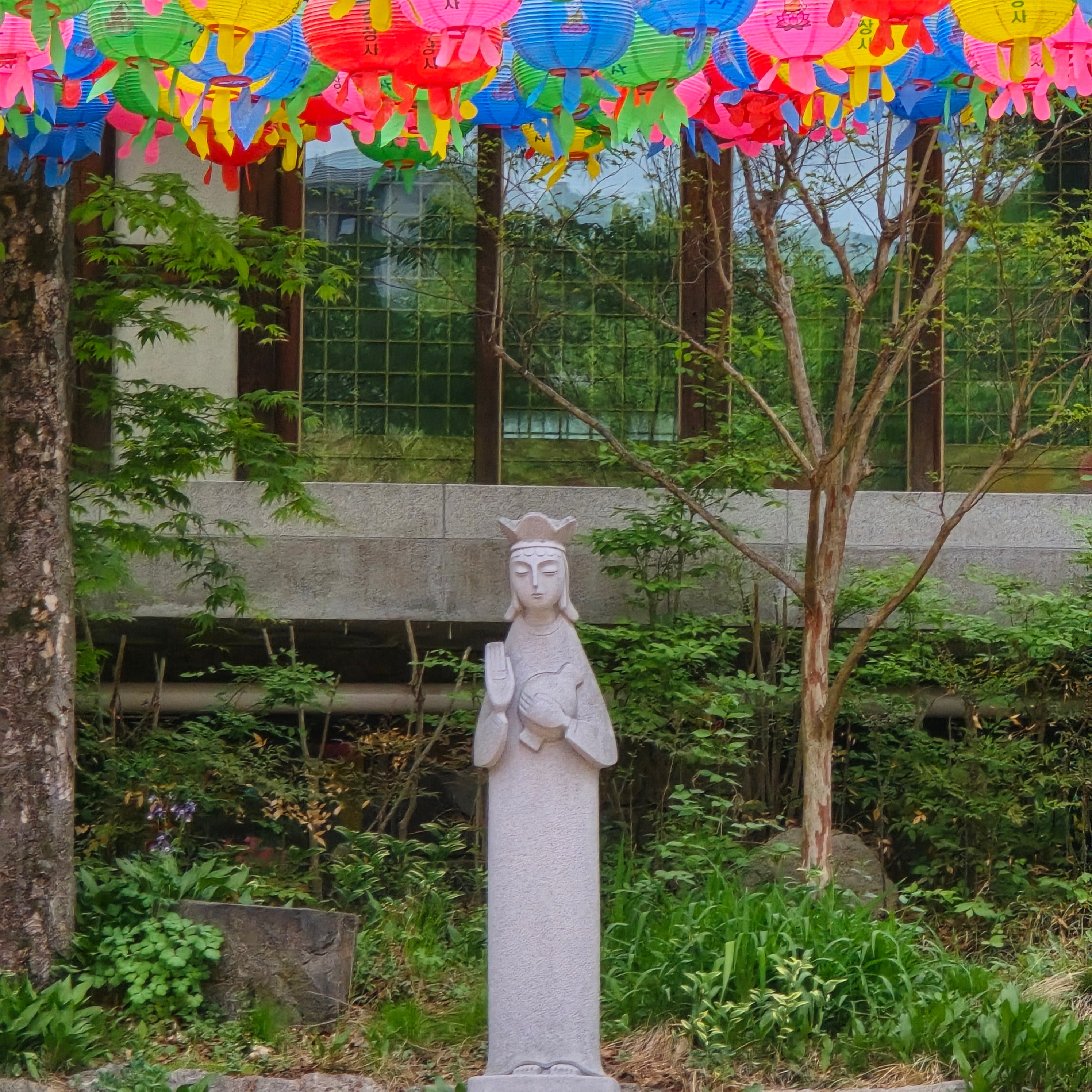20260427_151231.jpg