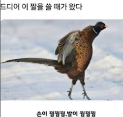 첨부 이미지