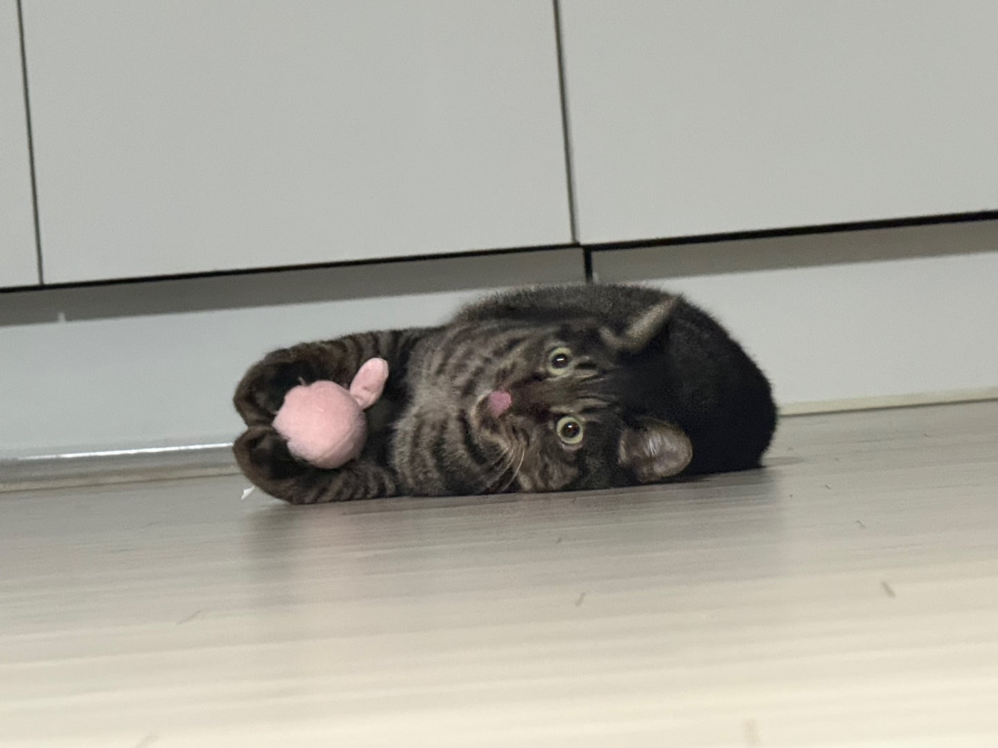 IMG_7845.jpeg