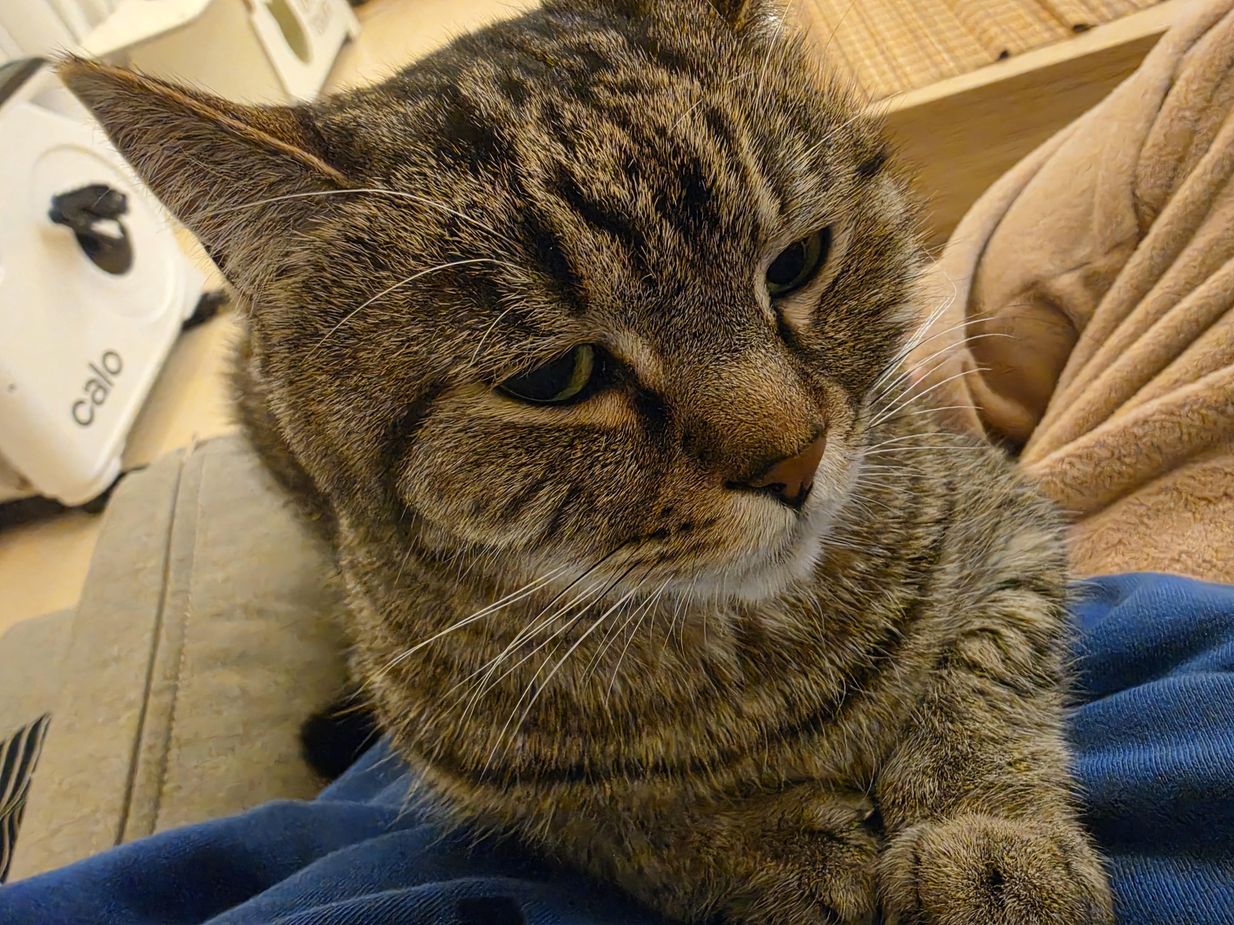 20260414_234200.jpg