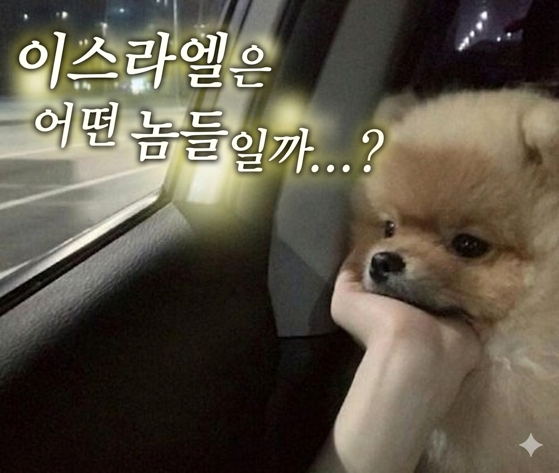 첨부 이미지