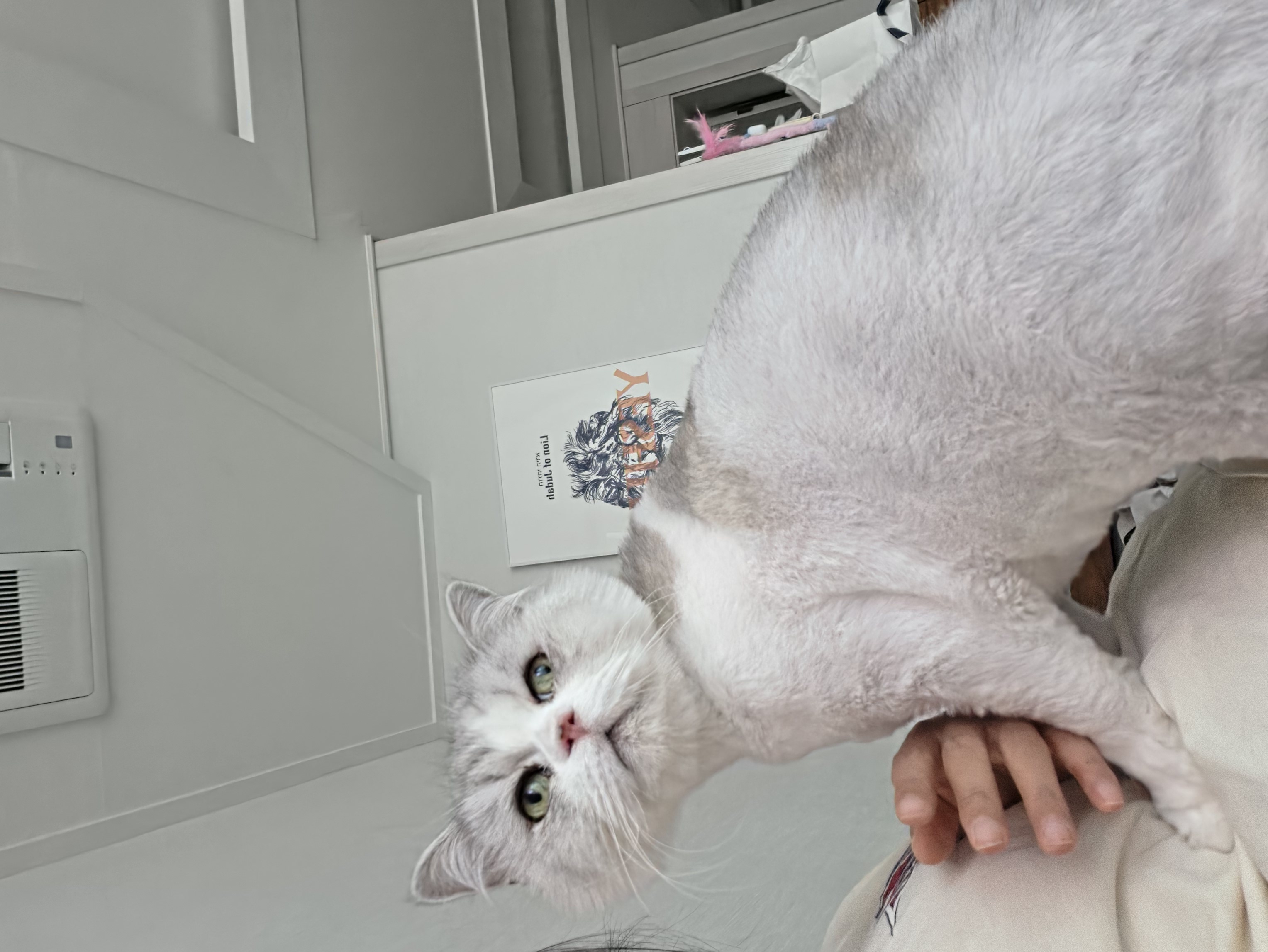 첨부 이미지