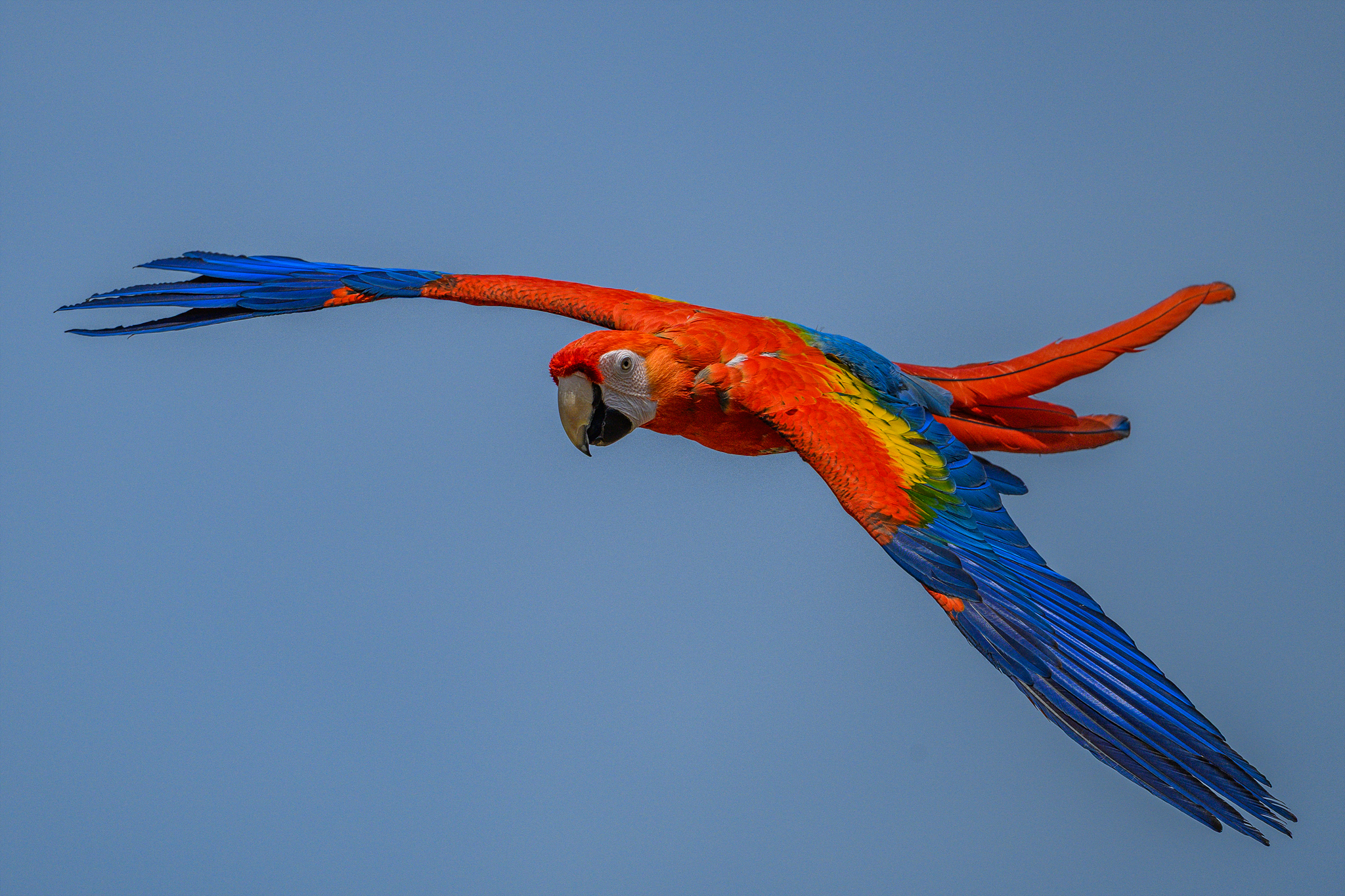 DSC_0185.jpg