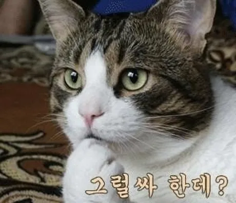 첨부 이미지