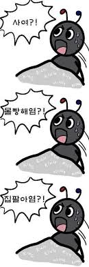 첨부 이미지