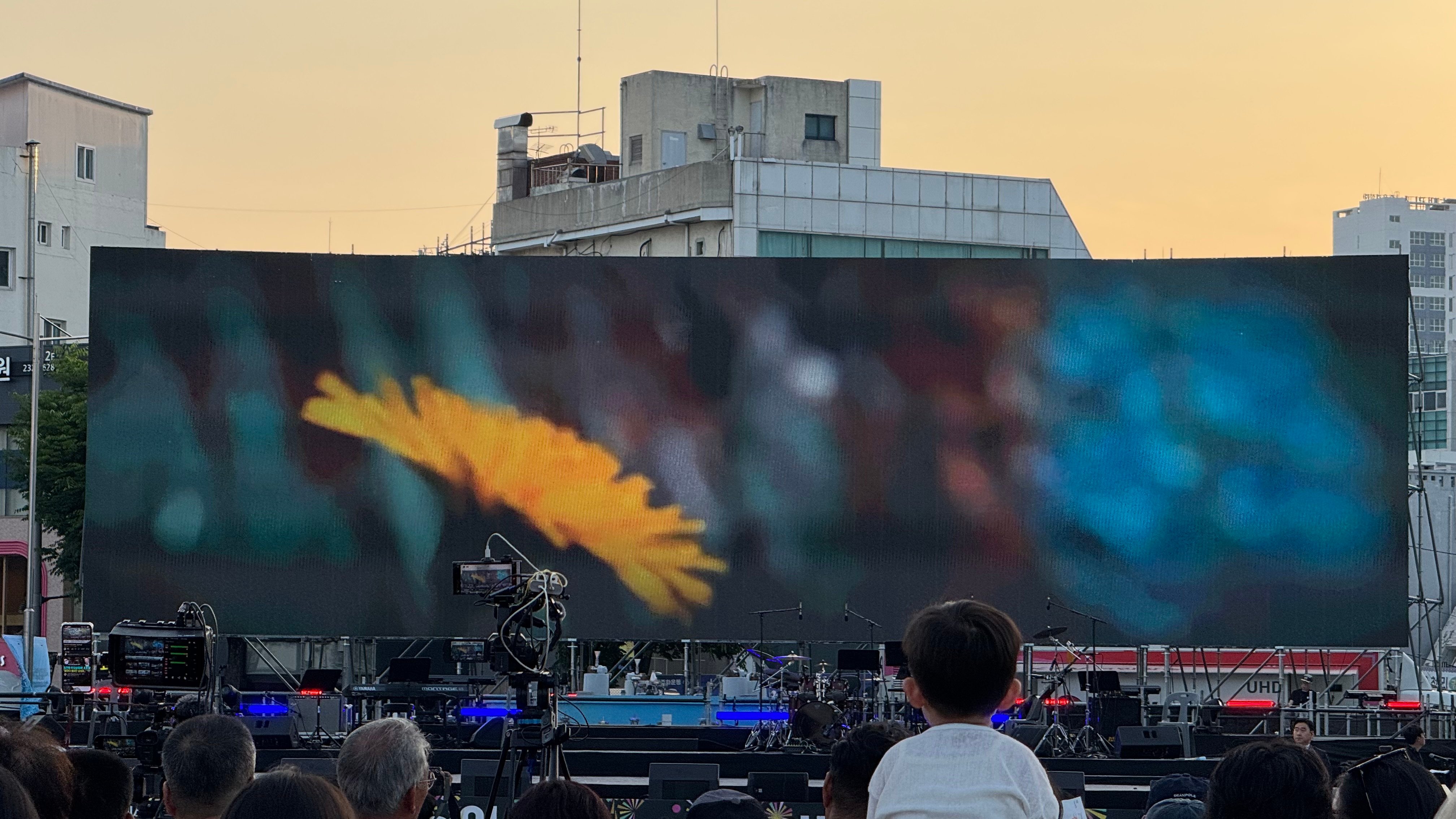 IMG_3222.jpeg