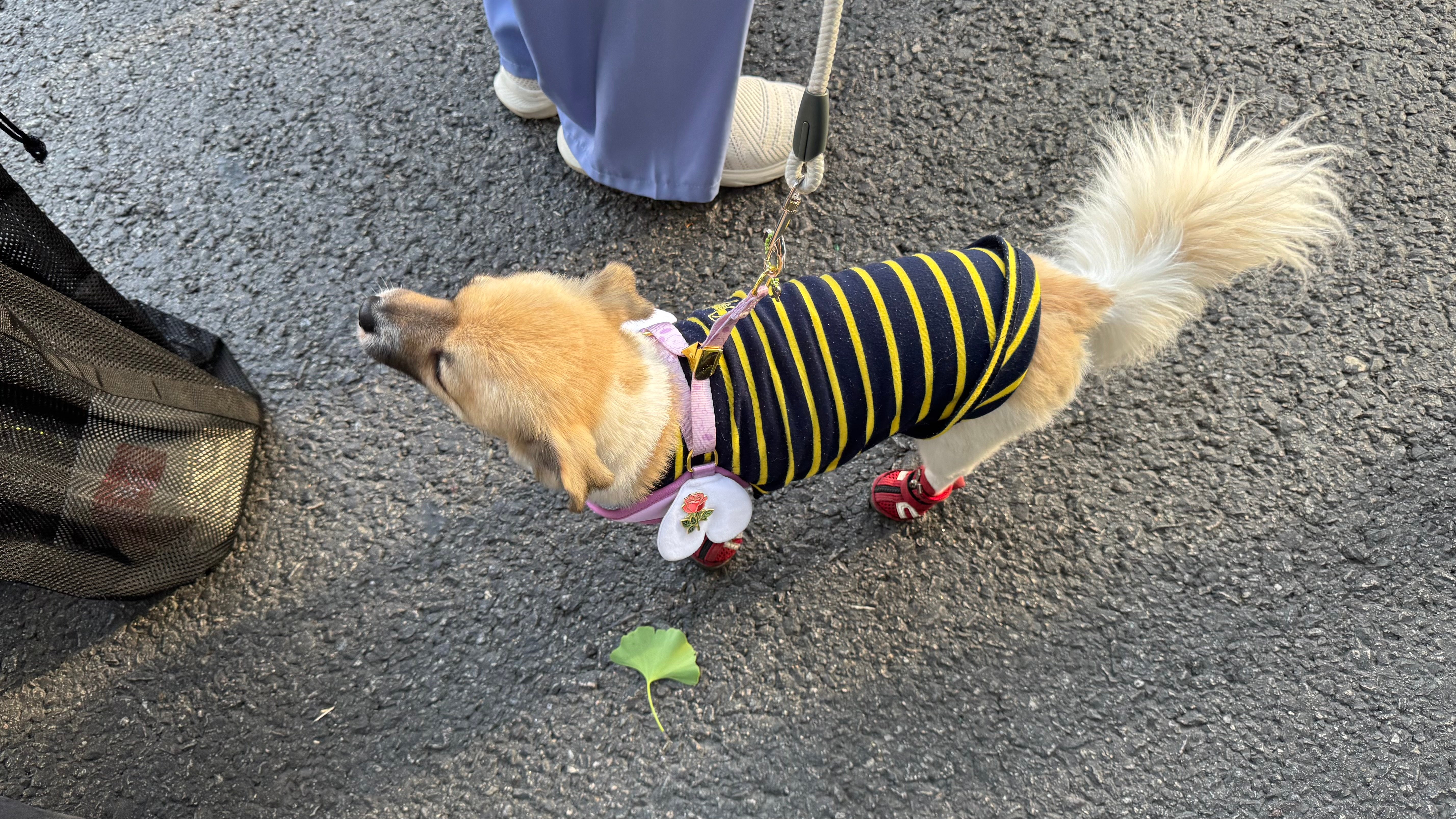IMG_3023.jpeg