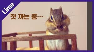 첨부 이미지