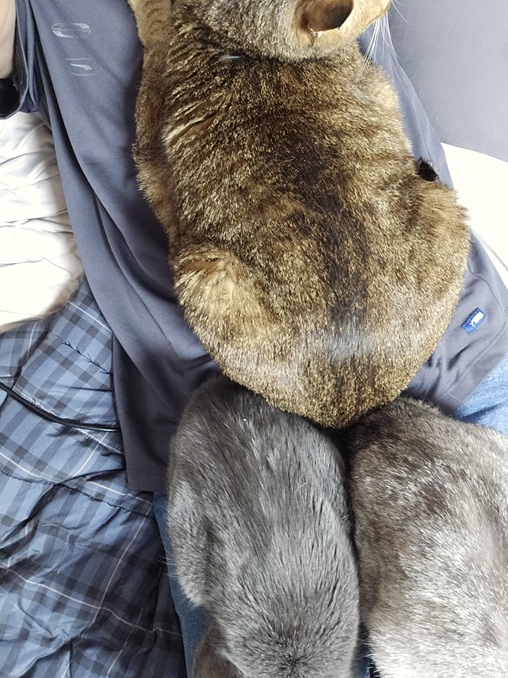첨부 이미지
