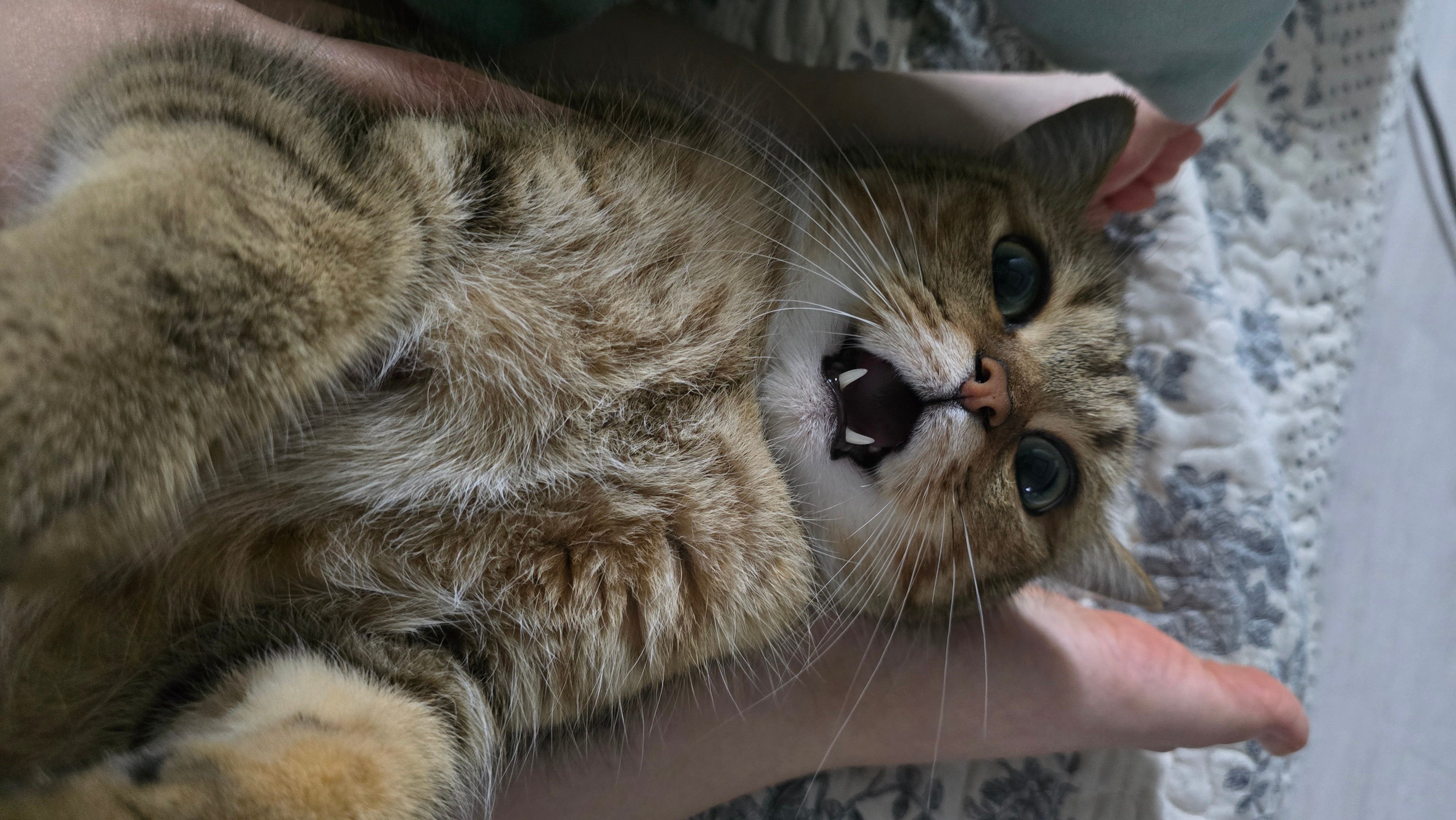 KakaoTalk_20260523_193039254_01.jpg