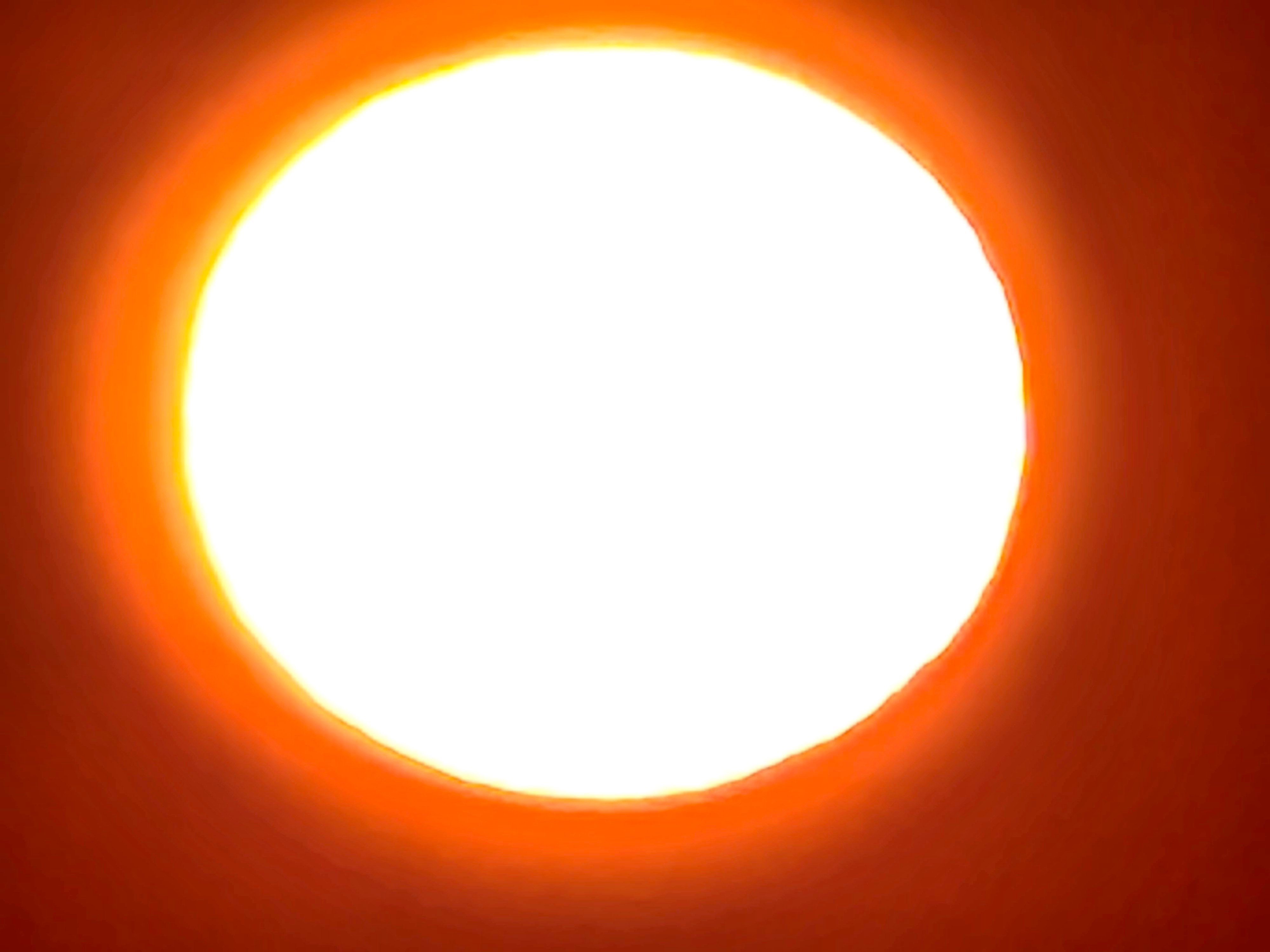 20260509_053310.jpg