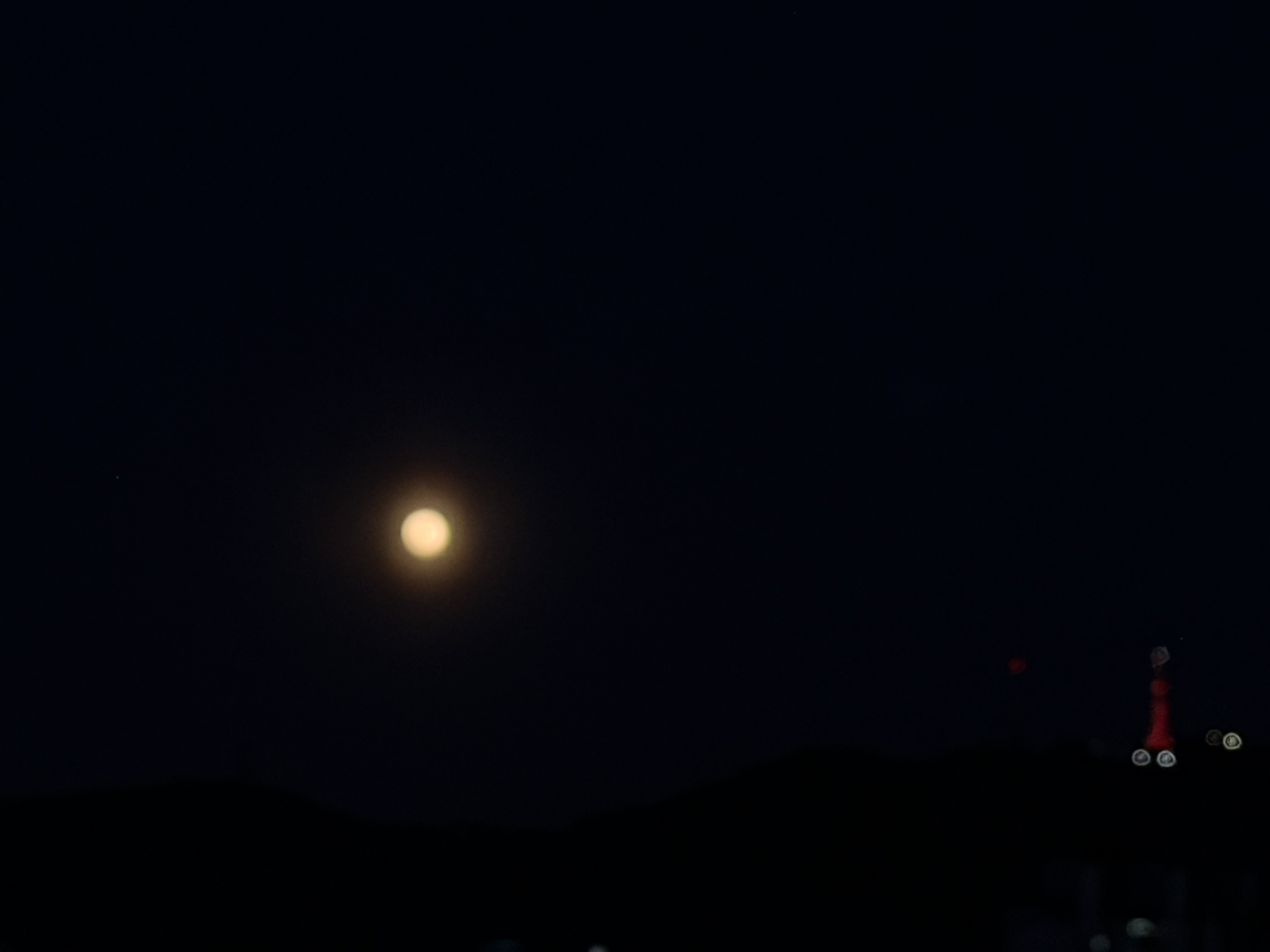 IMG_7230.jpeg