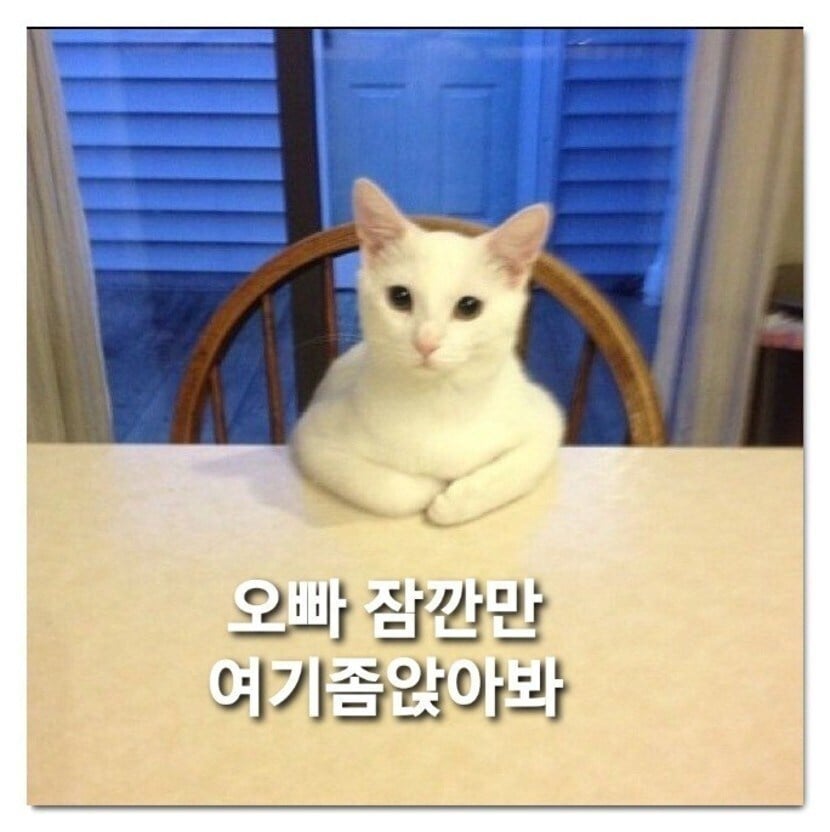 첨부 이미지