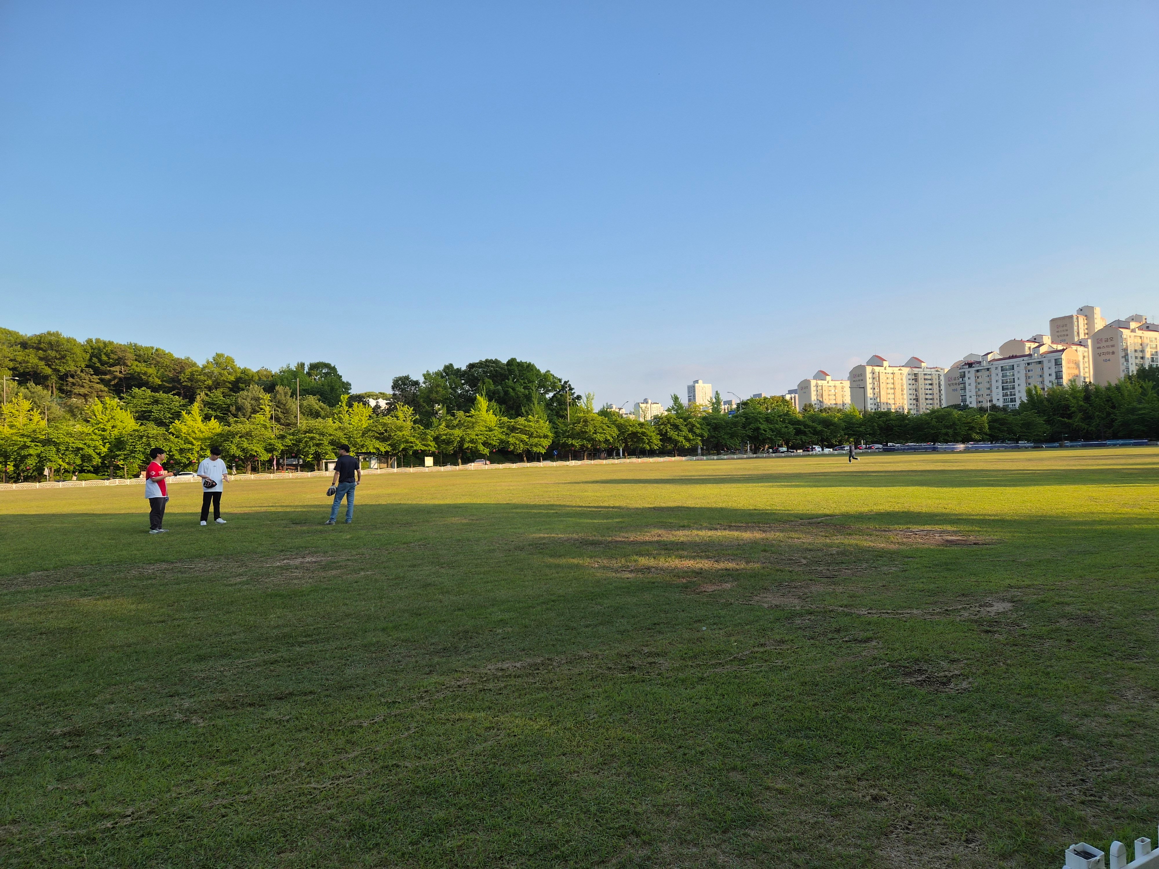 20260512_182520.jpg