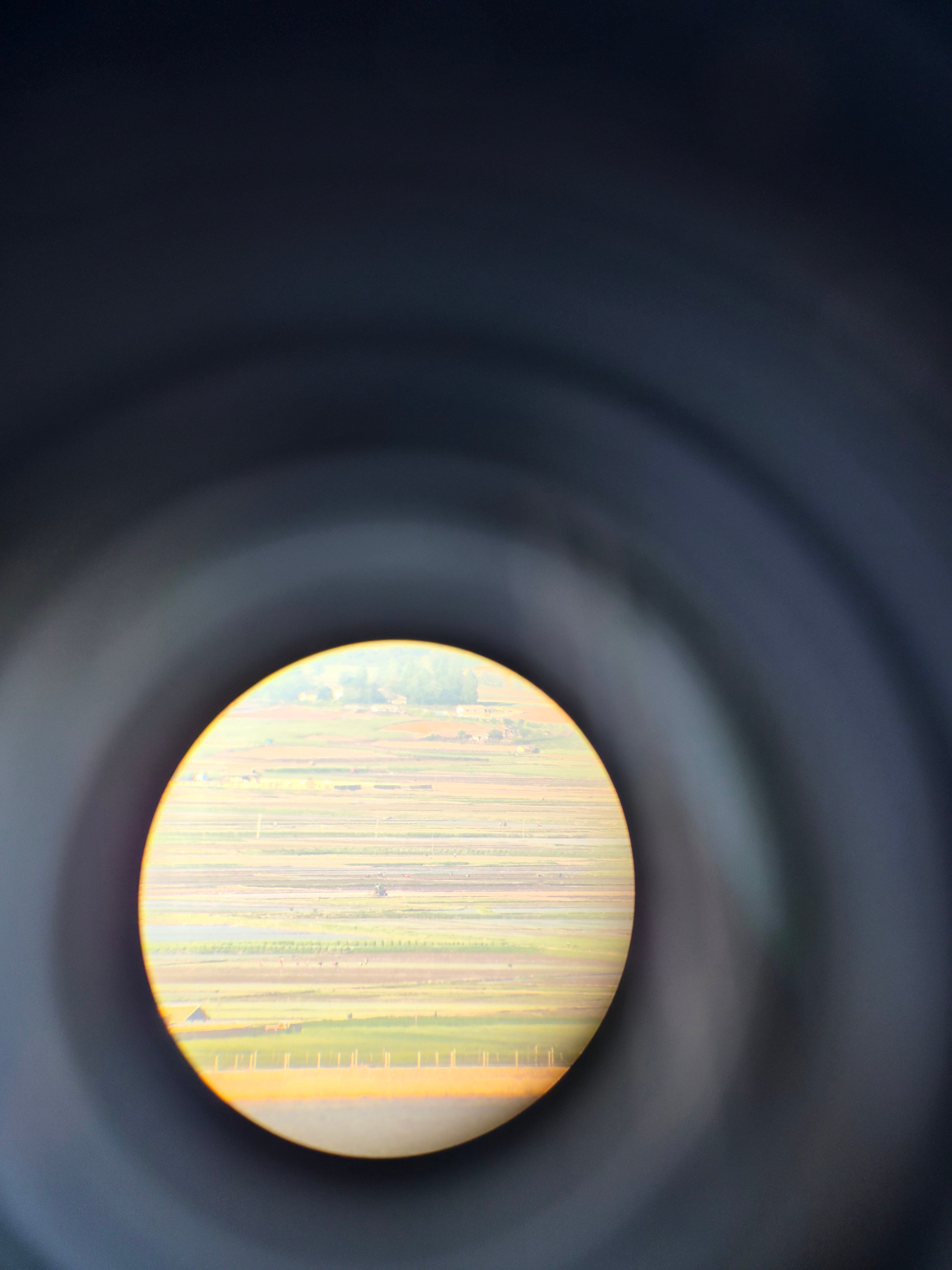 20260516_172743.jpg