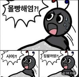 첨부 이미지