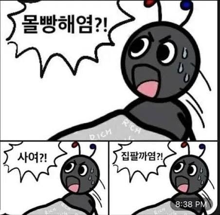 첨부 이미지