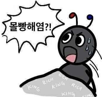첨부 이미지
