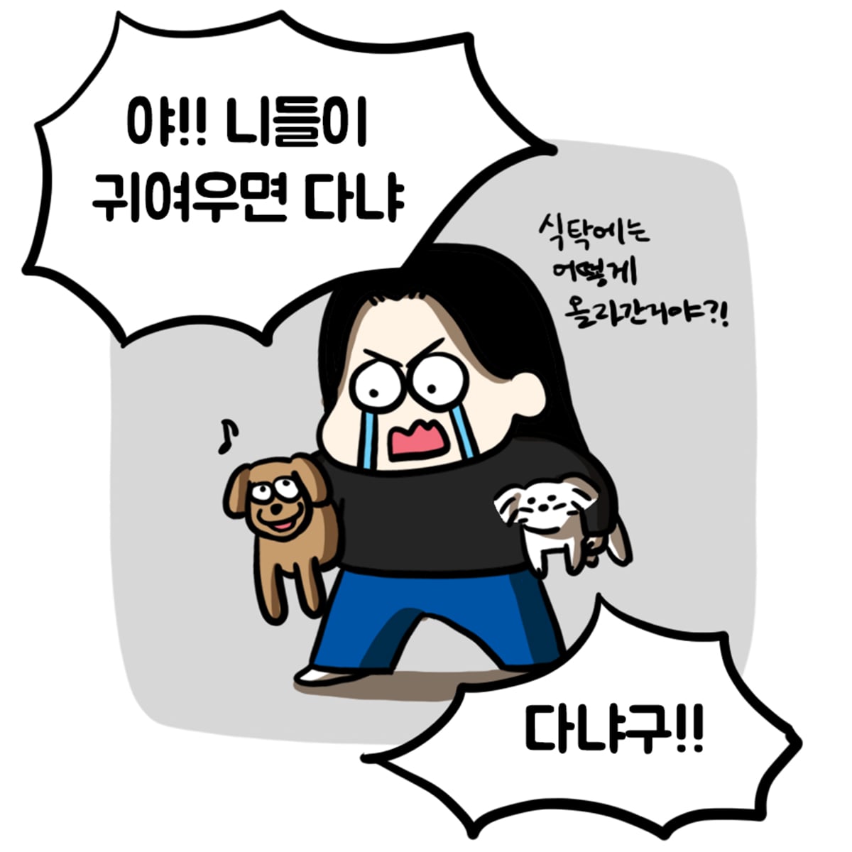 첨부 이미지