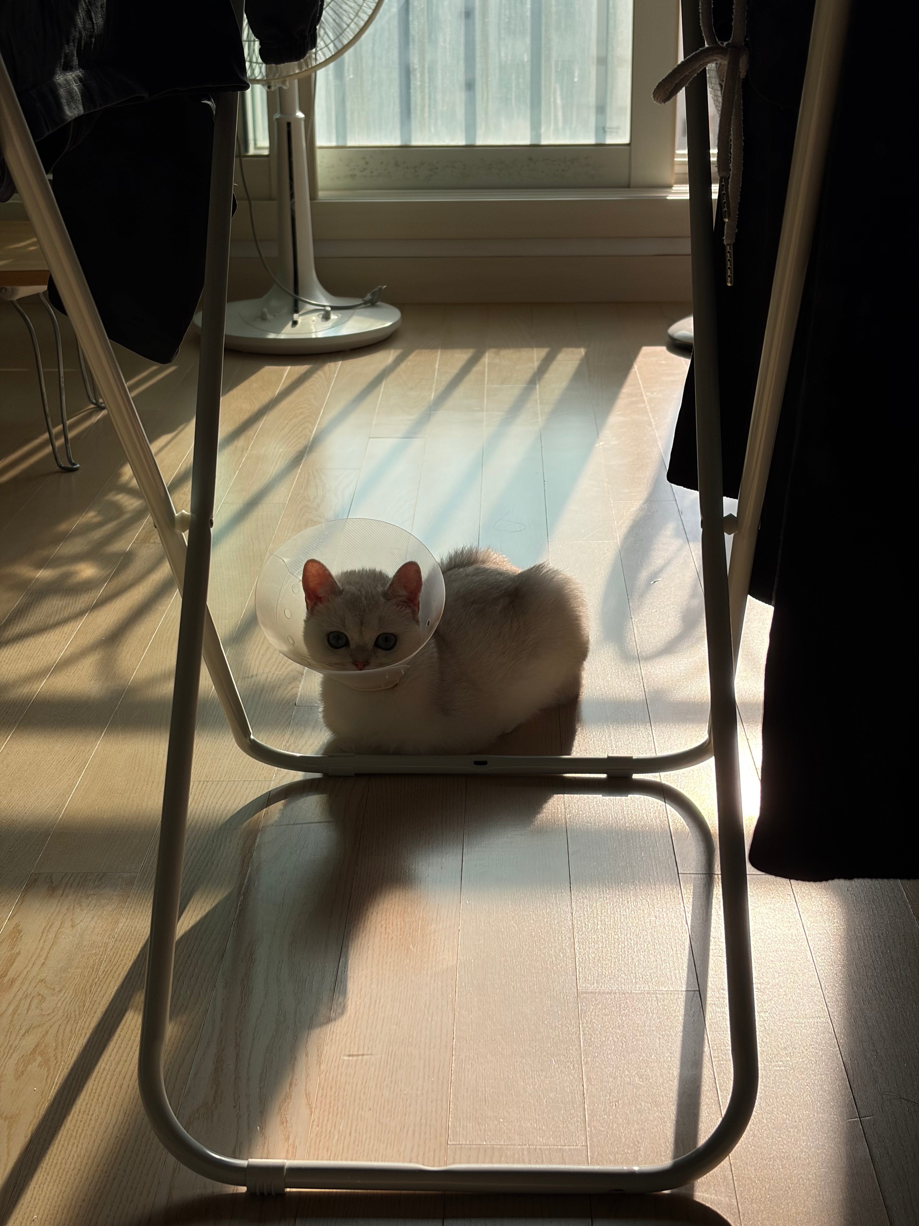 IMG_6122.jpeg