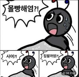 첨부 이미지